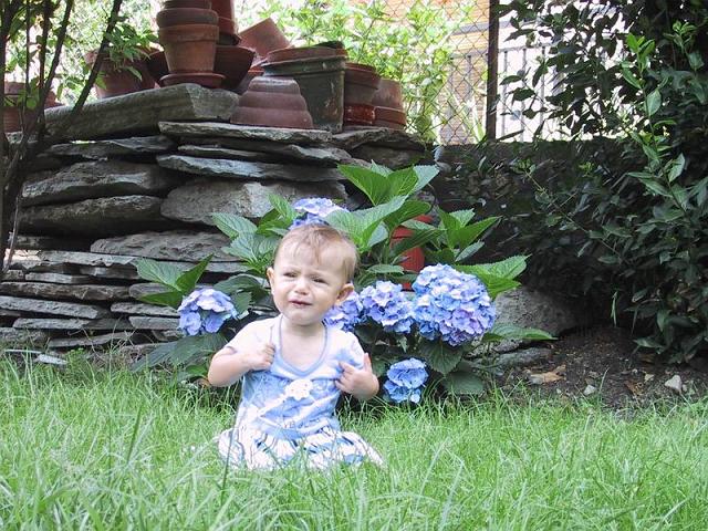 2003-07-20 12-18-54.JPG
